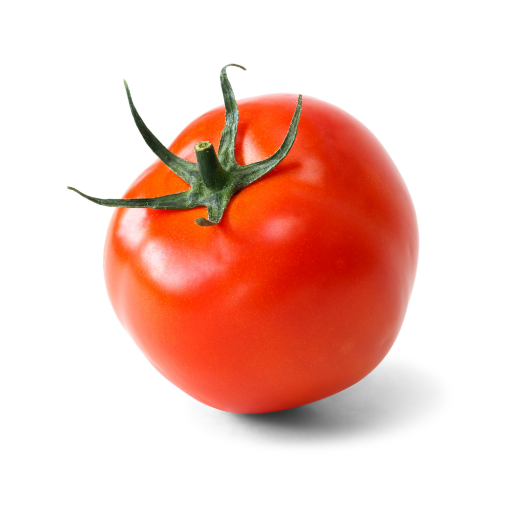 Reigetsu Tomato(4pcs pack approx. 400g ), large ripe tomatos with strong flavor from Nagano | Delivery: 12th~13th Sep