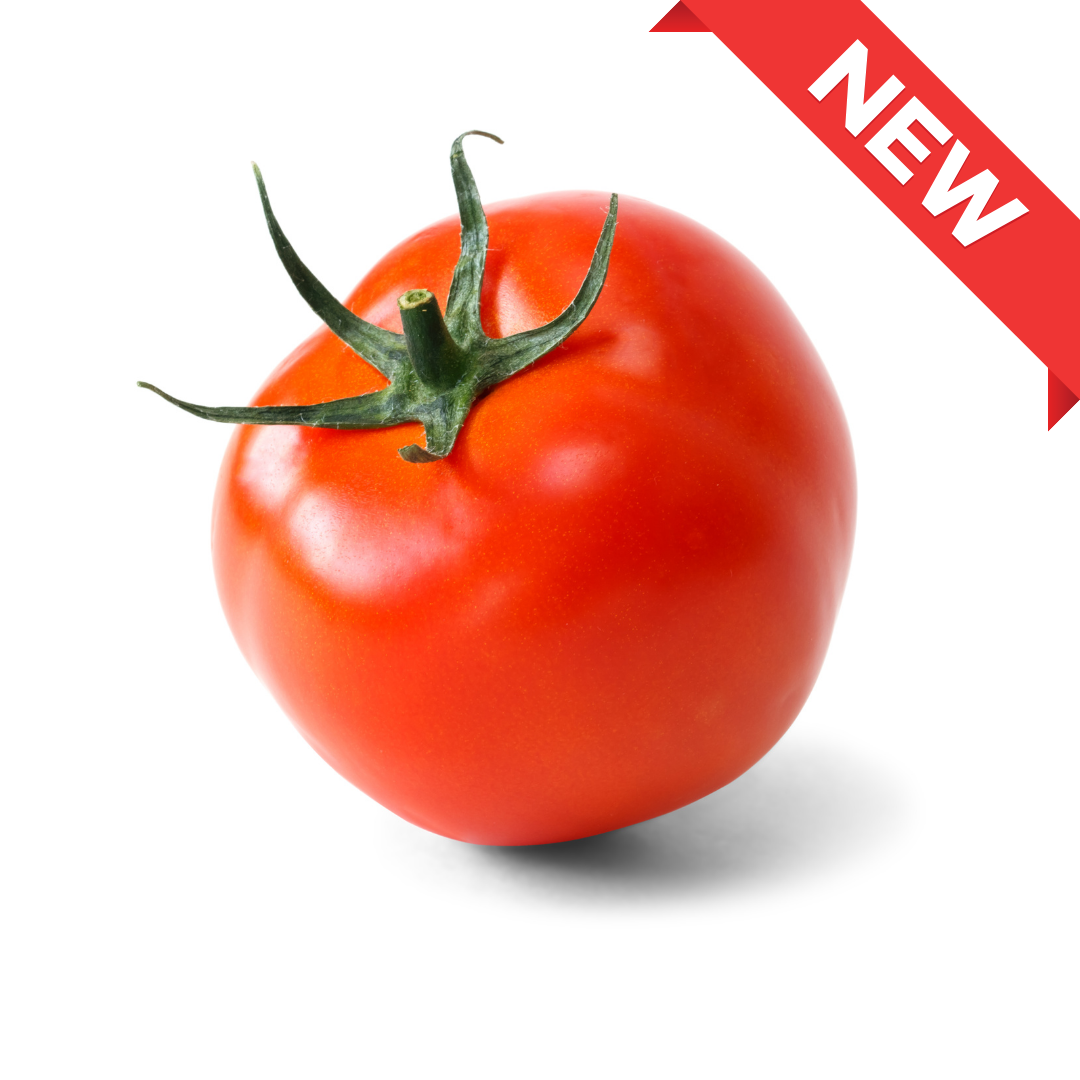 Reigetsu Tomato(4pcs pack approx. 400g ), large ripe tomatos with strong flavor from Nagano | Delivery: 12th~13th Sep