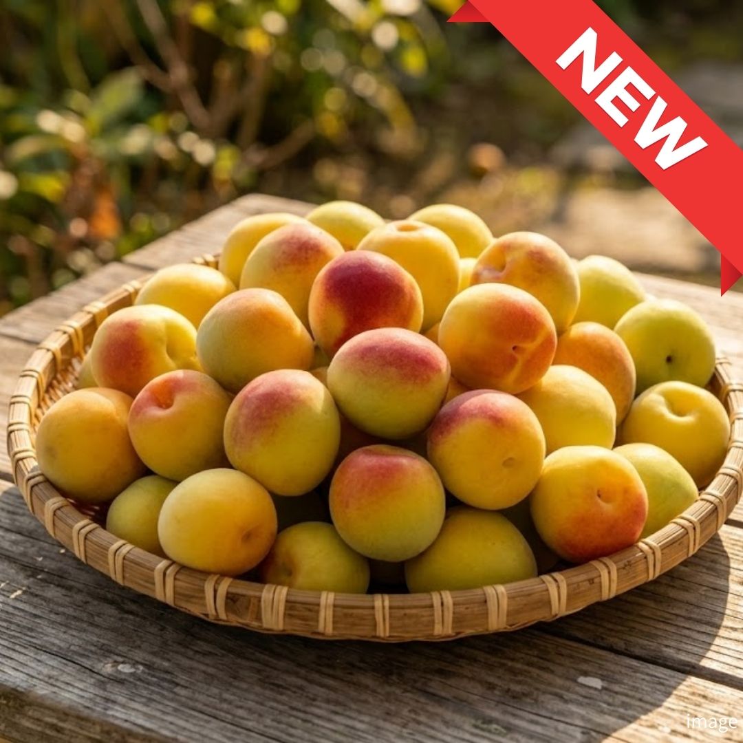 Wakayama Premium Ripe Nanko Ume | Rich Aroma & Ultra-Soft Flesh | Ideal for Jam, Syrup & Desserts | Seasonal Luxury Fruit | Approx. 1kg | Delivery: 3rd July–13th July