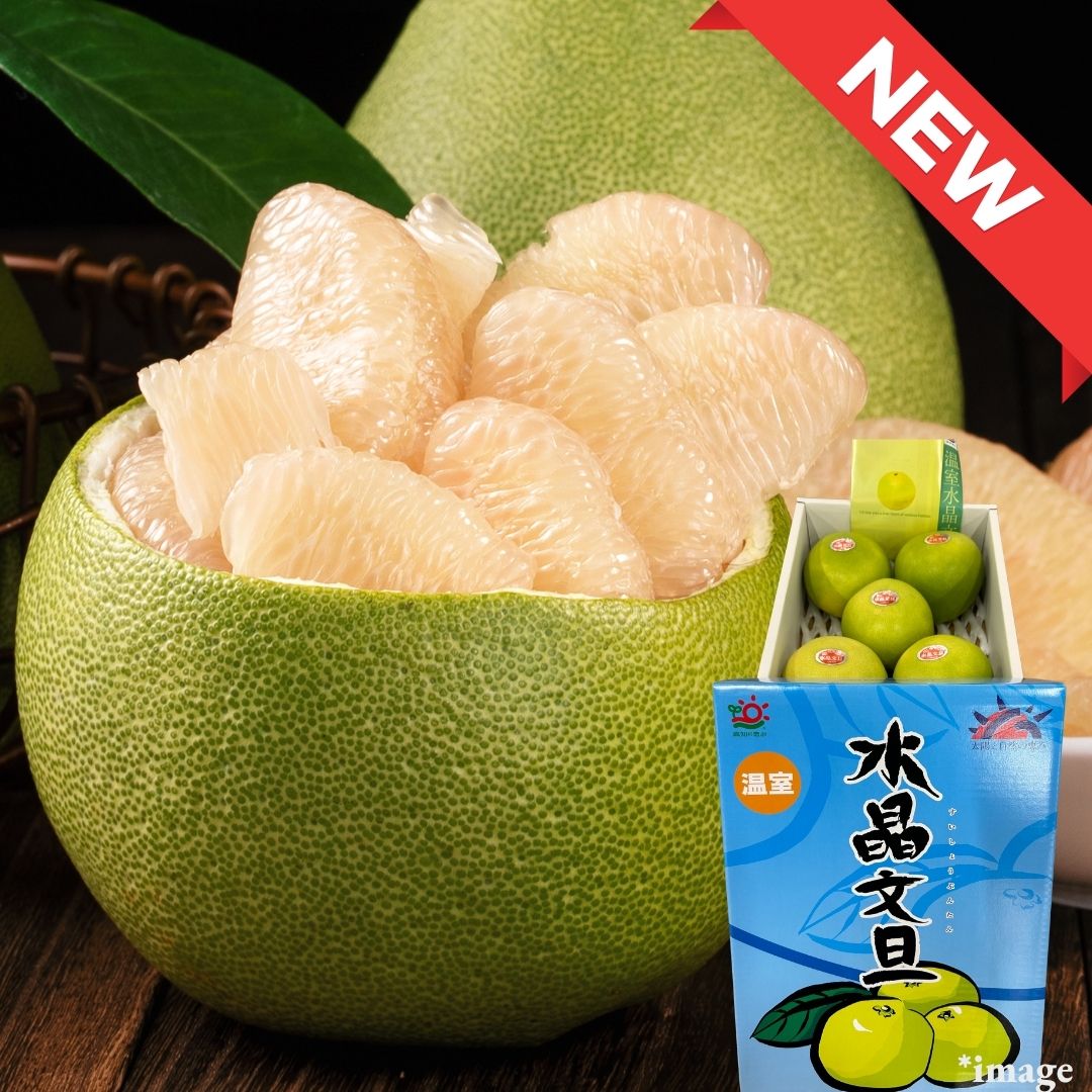 Queen of Citrus "Suishoubuntan (High Grade)", Citrus maxima from Kochi, Gift Box(5-6pcs/approx.2kg) | Delivery: 21th-22th Nov