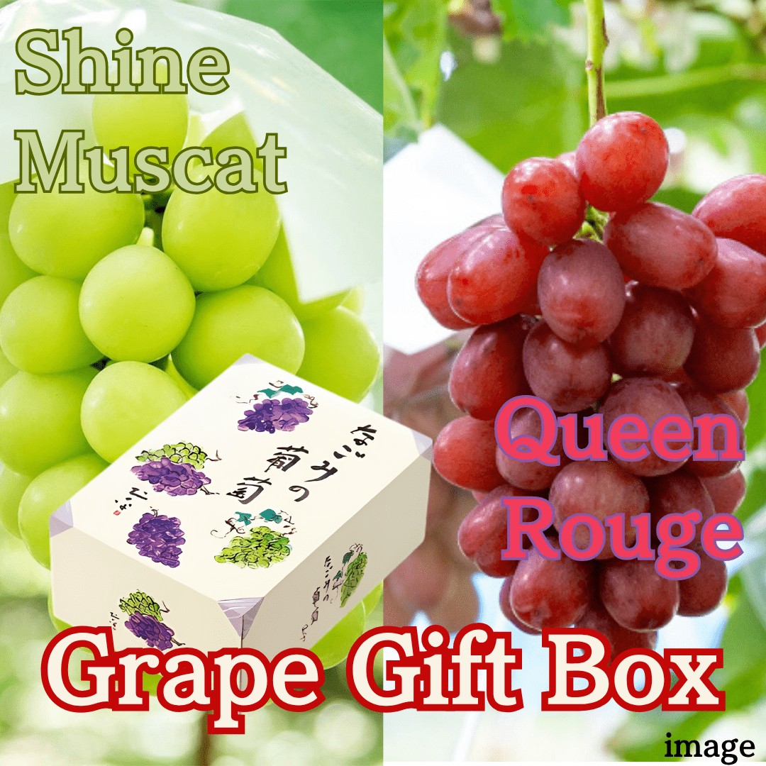 2 types Grape Gift Box "Queen Rouge& Shine Muscat (Top Grade)" | Delivery: 11th~26th July - Tokyo Fresh Direct