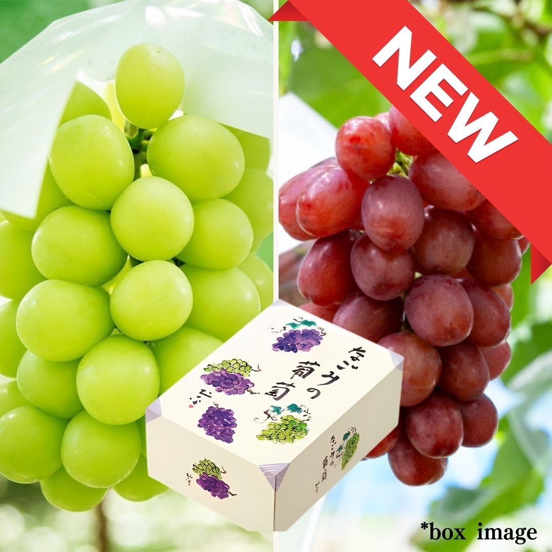 2 types Grape Gift Box "Shine Muscat & Queen Rouge" | Delivery: 5th~6th Sep - Tokyo Fresh Direct
