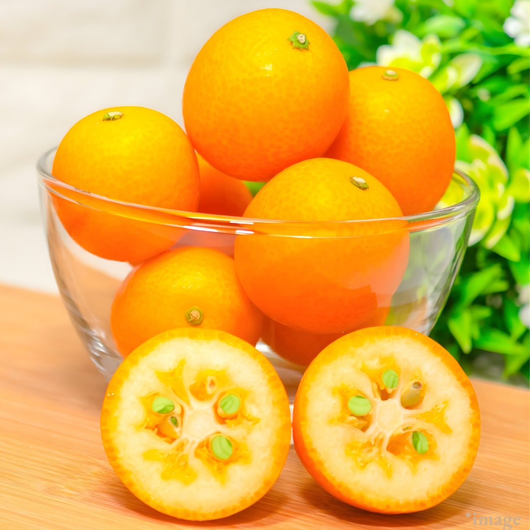 Selected High-Brix Kumquats "Tamatama (High Grade/size 2L)", Miyazaki Brand Kumquats, Approx.500g | Delivery: 23th-24th Jan
