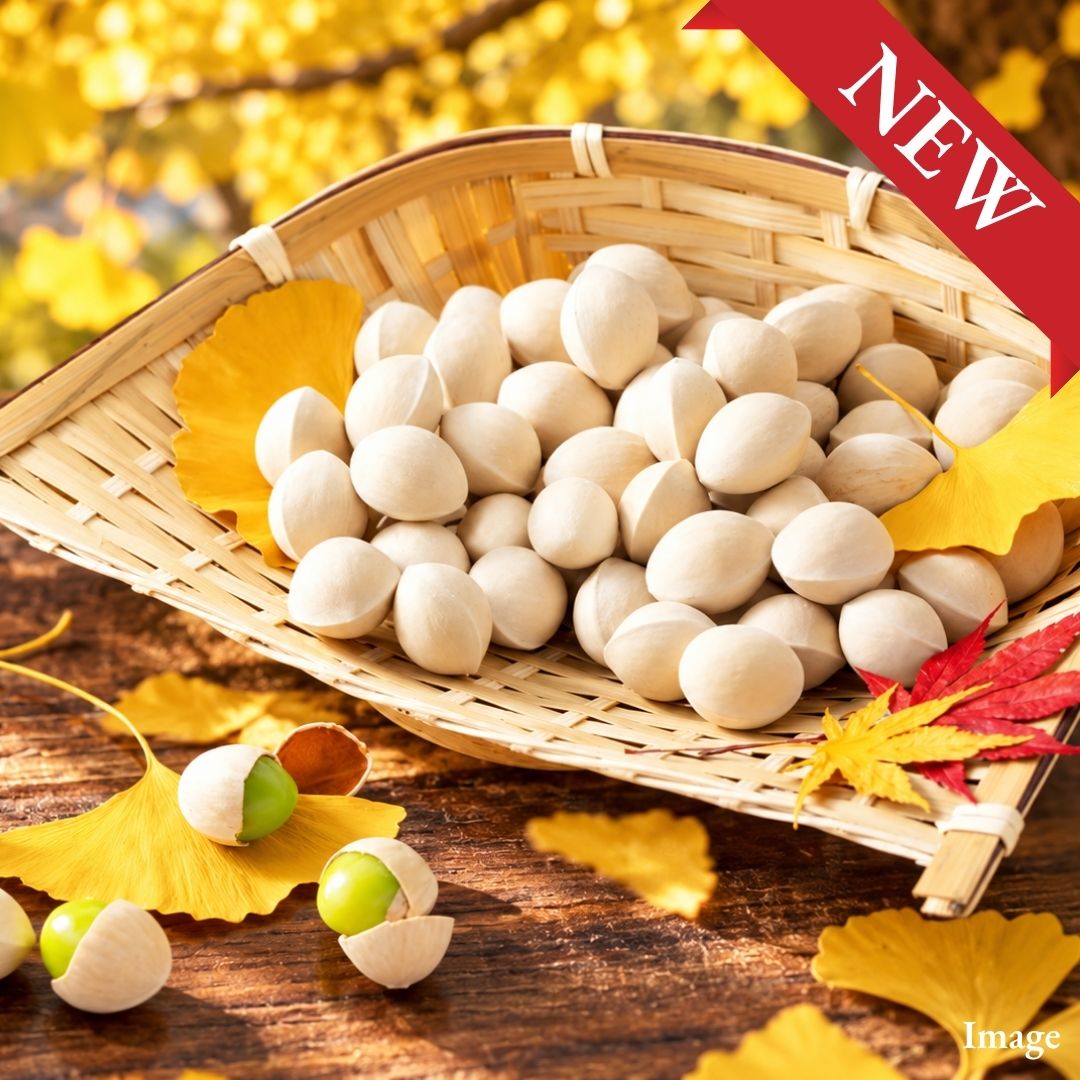 "Japanese Ginkgo Nuts", Fragrant and Rich Autumn Ginkgo Nuts with a Soft, Chewy Texture, 500g Pack | Delivery: 9th~10th Oct