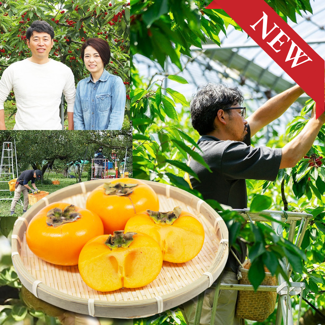 "Shonai Persimmon (2L-size/Farm Direct)", Birthplace of Japan’s Seedless Persimmon, with Refined Sweetness & Silky-Ripe Texture, Approx.400g(2pcs) | Delivery: 16th~17th Oct