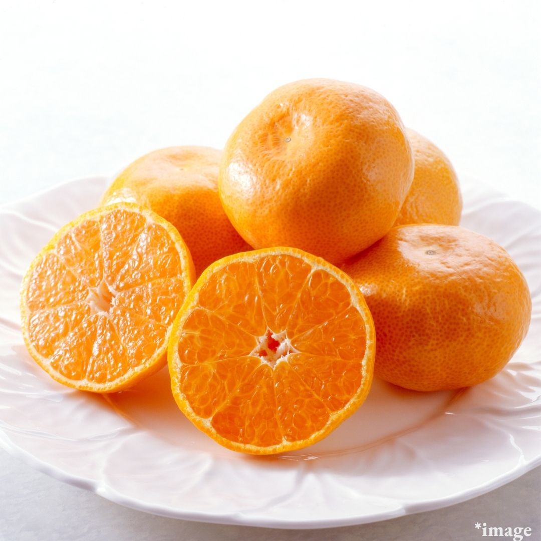 "Kusamakura (High Grade / size S)", Branded Mikan Selected in Kumamoto, Brix 11°+ | Delivery: 12th-13th Dec
