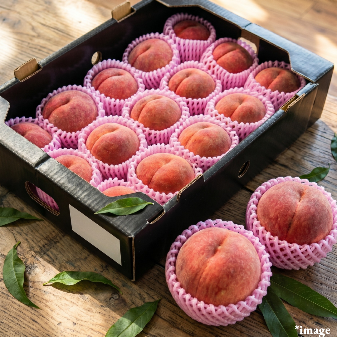 "Hikawa-Hakuho(Top Grade Black Label/2L-size)", The First Taste of Early Summer Yamanashi Premium Peaches, | Delivery: 3rd~4th Jul