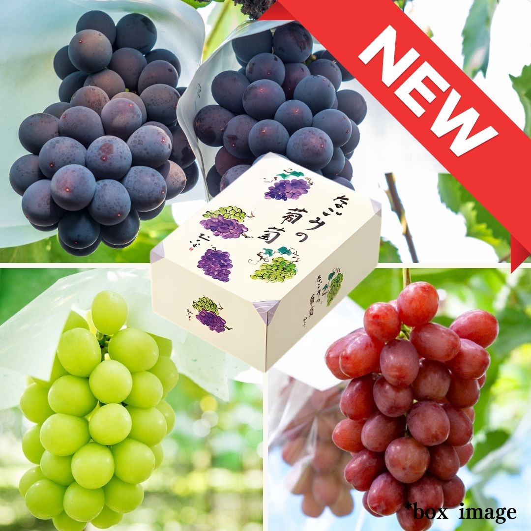 3 types Grape Gift Box "Shine Muscat & Kyoho & Queen Rouge" | Delivery: 5th~6th Sep - Tokyo Fresh Direct