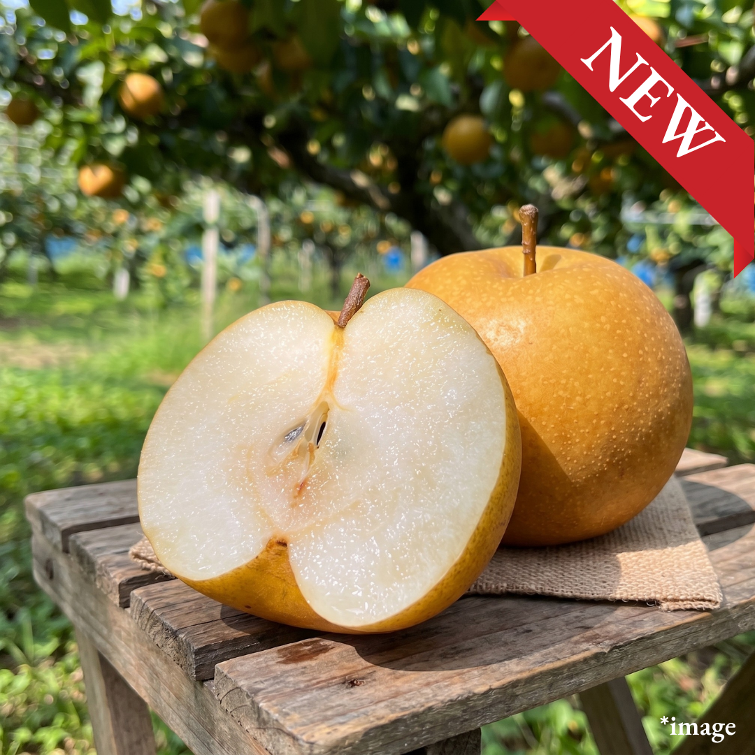 Jishinsaku Brand "Kosui (Top Grade)", The pride of top grade Japanese pear, 13° Brix Sweetness, Approx.600g+(2pcs)| Delivery: 28th~29th Aug
