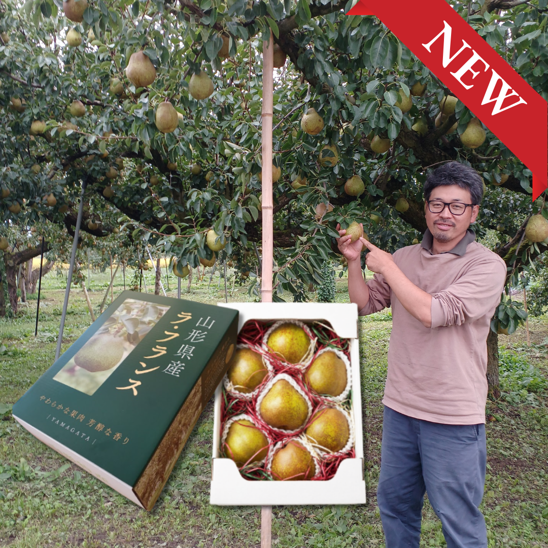 Grower’s Selection 5L/6L Giftbox "Yamagata La France (Giftbox/5~6L-size/Farm-Direct)", The “Queen of Western Pears,” Silky-Melting & Richly Fragrant | Delivery: 13th~14th Nov