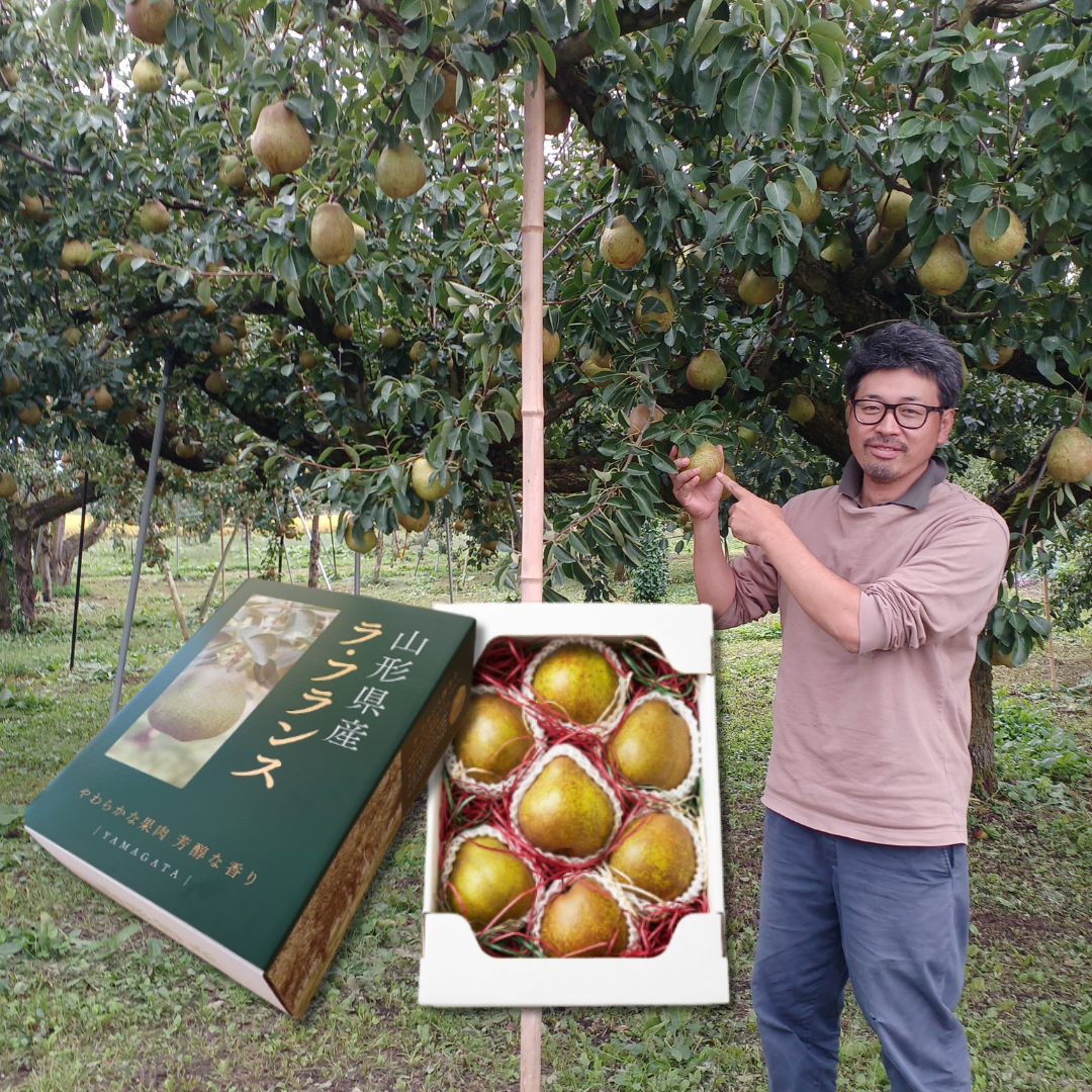 Grower’s Selection 5L/6L Giftbox "Yamagata La France (Giftbox/5~6L-size/Farm-Direct)", The “Queen of Western Pears,” Silky-Melting & Richly Fragrant | Delivery: 13th~14th Nov