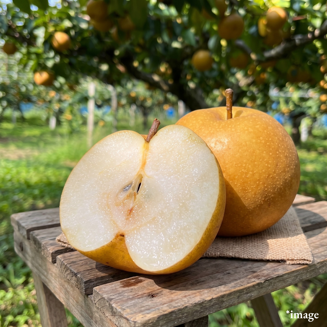 Jishinsaku Brand "Kosui (Top Grade)", The pride of top grade Japanese pear, 13° Brix Sweetness, Approx.600g+(2pcs)| Delivery: 28th~29th Aug