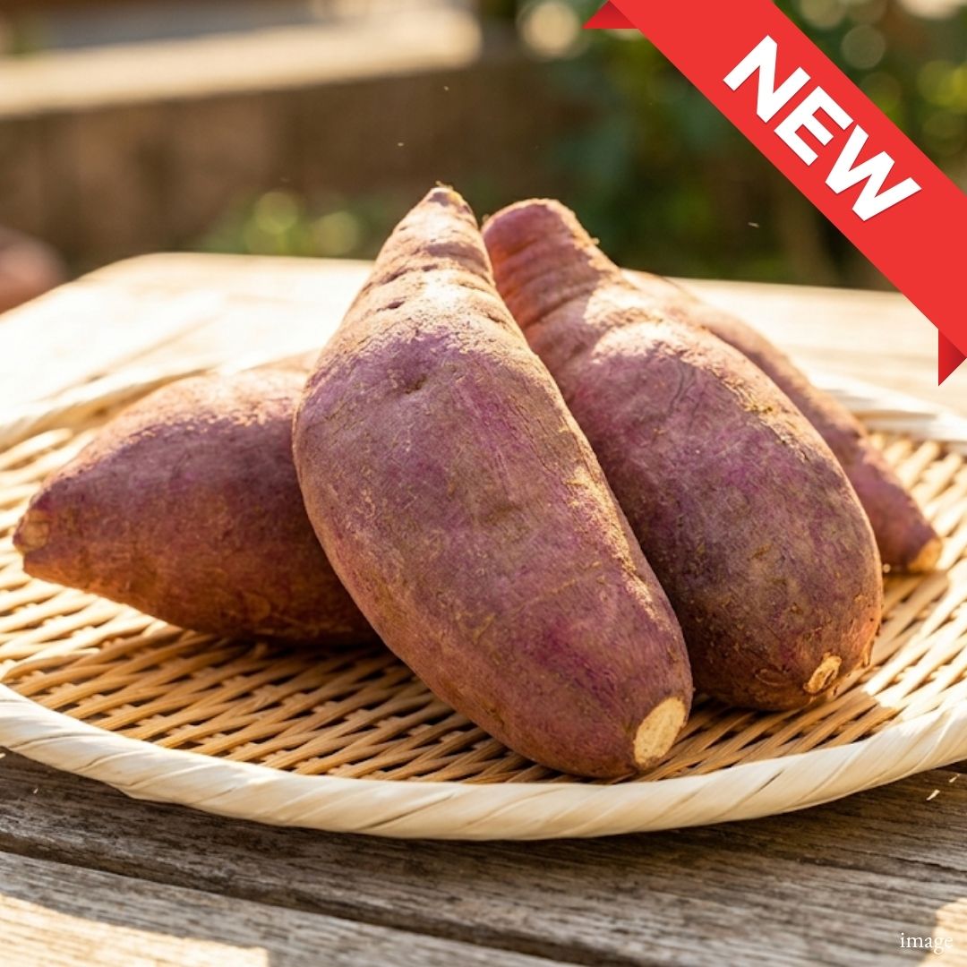 Premium Beni Haruka Sweet Potato – Japan's Finest Sweet Potato Approx. 500g