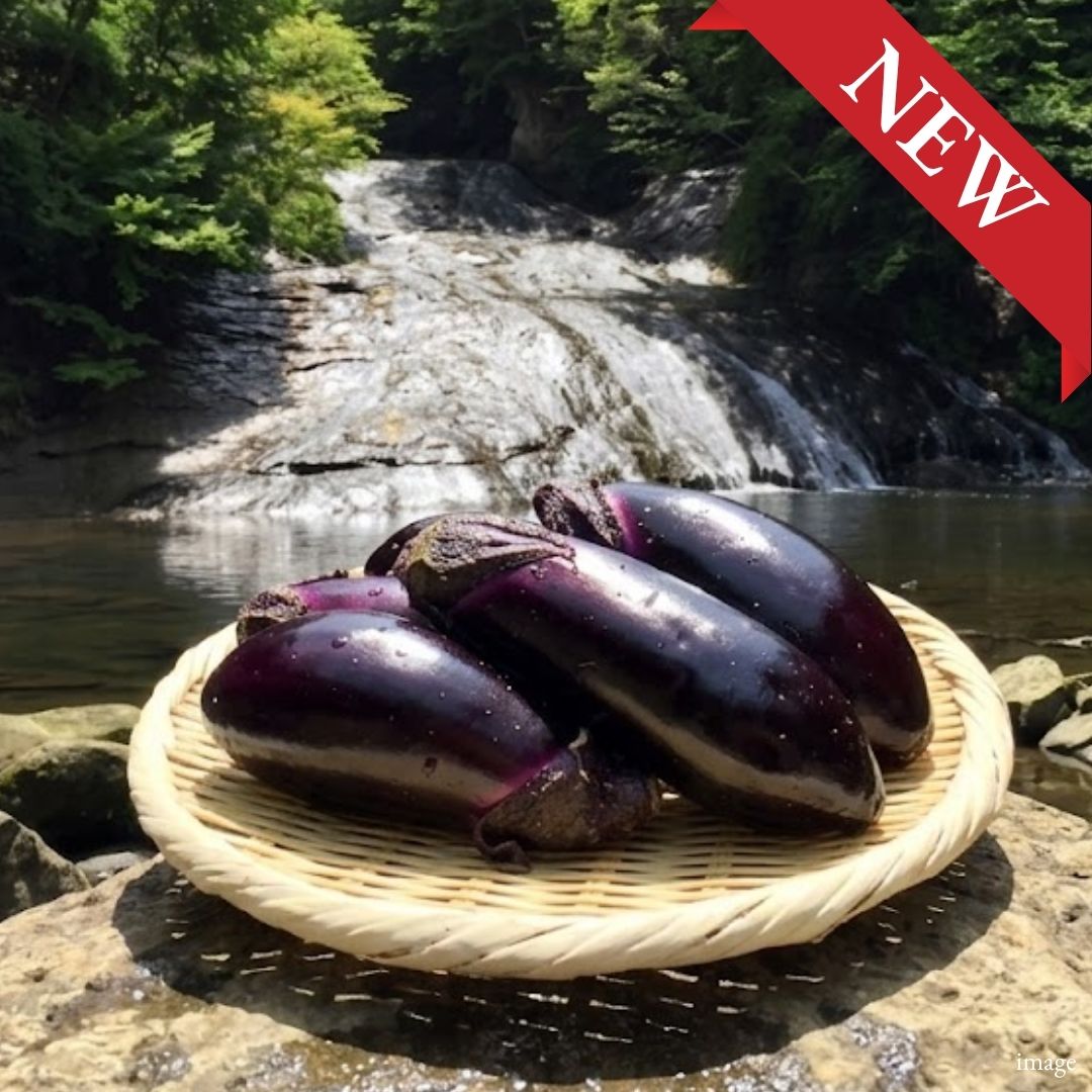 Aomori Sapphire Baby Eggplant – Approx. 200g | Tender Skin, Delicate Flavor & Bite-Sized Perfection