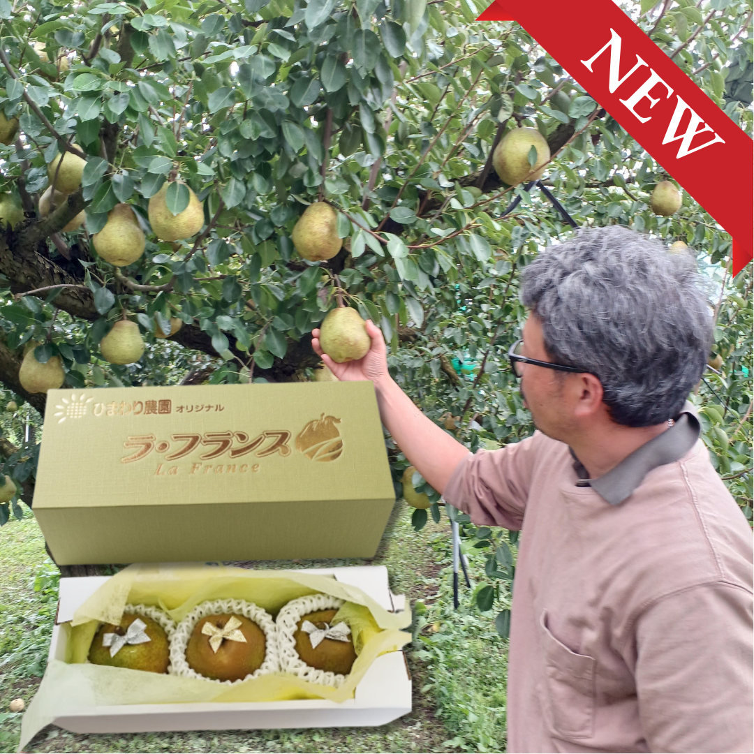 Grower’s Selection 5L/6L Giftbox "Yamagata La France (Giftbox/5~6L-size/Farm-Direct)", The “Queen of Western Pears,” Silky-Melting & Richly Fragrant | Delivery: 13th~14th Nov