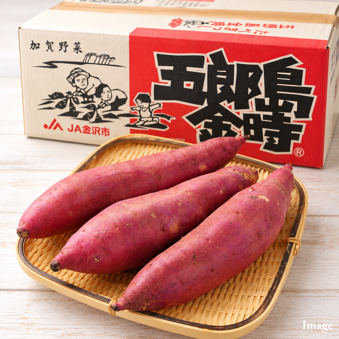 Premium Gorojima Kintoki Sweet Potato from Ishikawa – Traditional Kaga Vegetable with Naturally Sweet & Fluffy Texture Approx. 500g