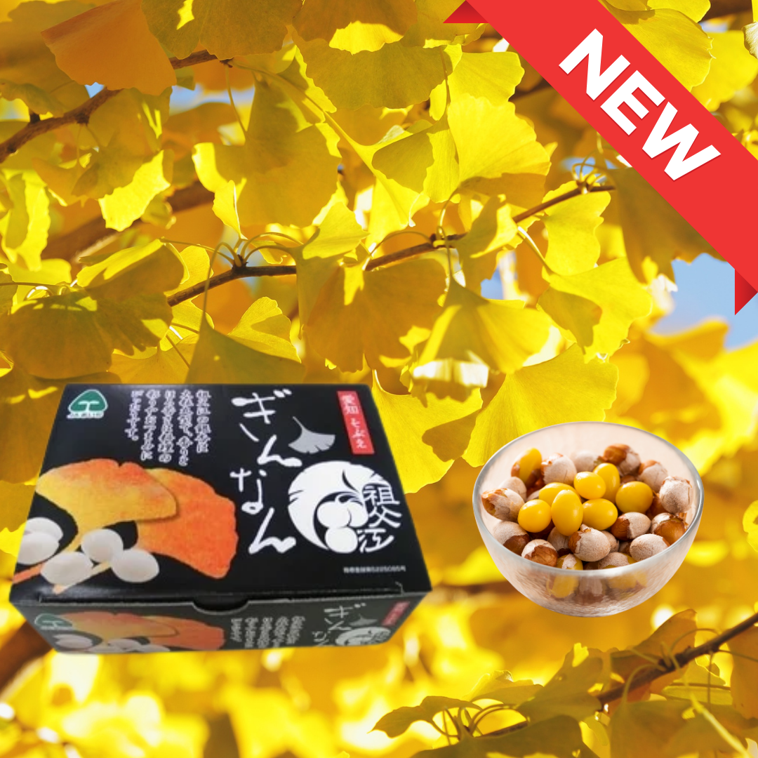 Aichi Autumn Gold Ginkgo (1 box/500g) | Delivery: 14th-29th Nov