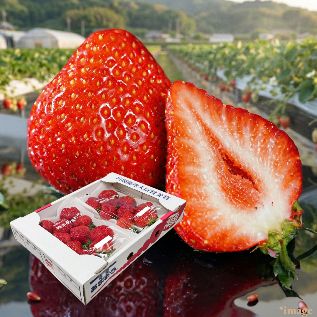 ”Amaou (High Grade)”, Big, Red, Round, Delicious — Fukuoka’s Beloved Premium Strawberry, Approx.550g(2packs) | Delivery: 20th - 21st Mar - TFD (Tokyo Fresh Direct)
