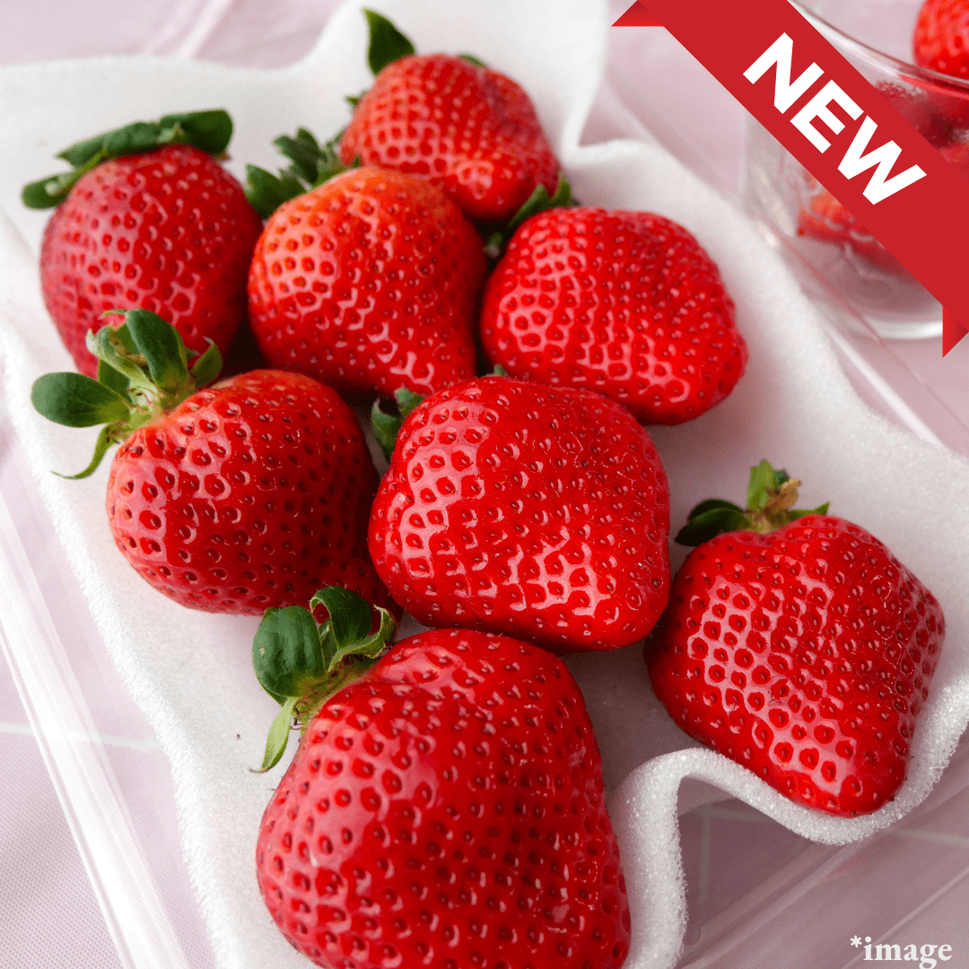 Amaou Strawberry – Limited to 8, One per Customer, (approx.270g pack) | Delivery: 12th - 13th Dec - Tokyo Fresh Direct