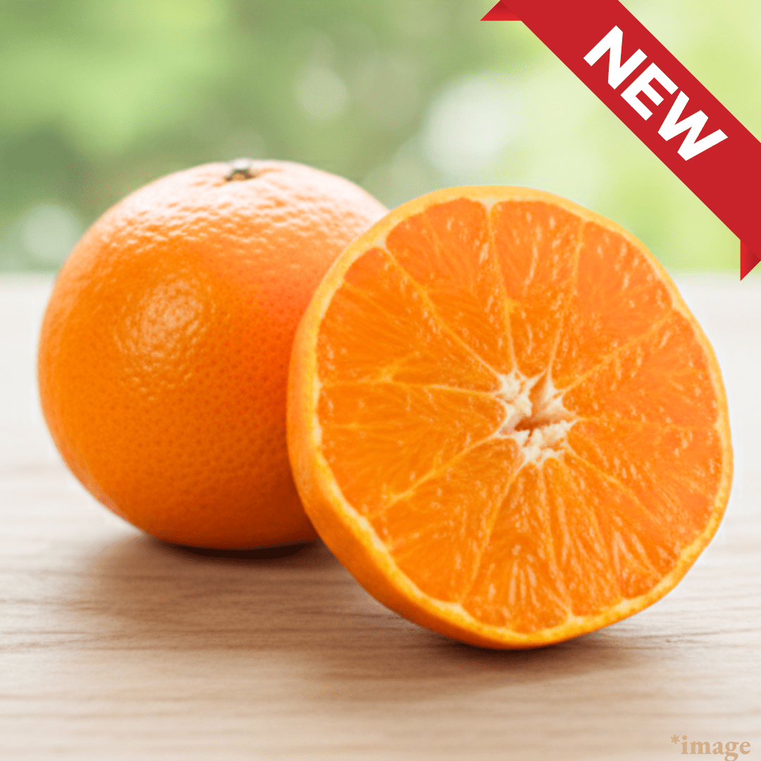 ”Beni - Princess (Rare Citrus)", A rare citrus, known as the jewel of fruit for its rich, luscious sweetness | Delivery: 13th - 14th Mar - TFD (Tokyo Fresh Direct)