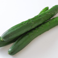 Cucumber - Tokyo Fresh Direct