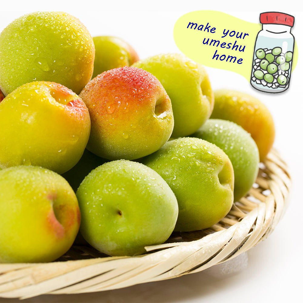 "Early Harvest Nanko Ume 1KG", Japanese top brand fresh plum with smaller seeds and thicker fruits