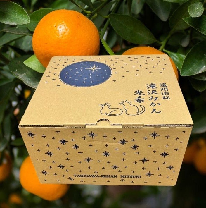 FRONTIER WORKS Shizuoka Mikan MITSUKI Classic Taguchi Wase 2kg - Tokyo Fresh Direct