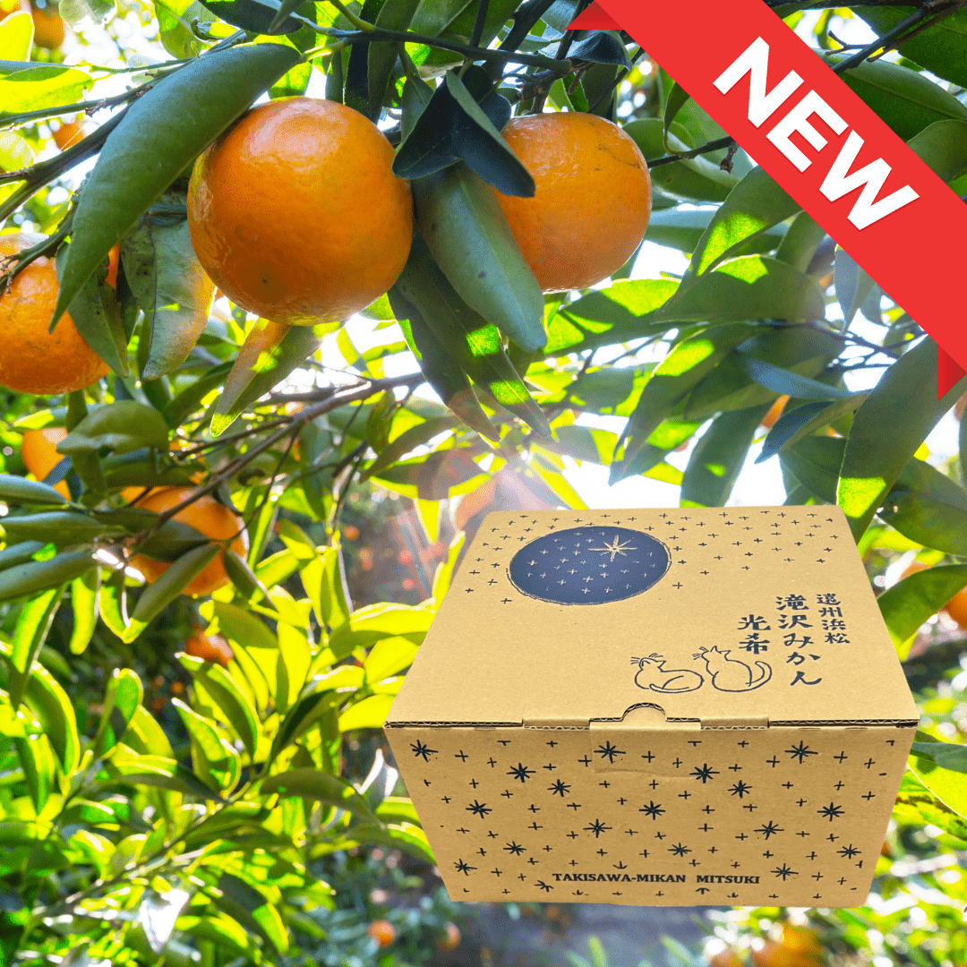 FRONTIER WORKS Shizuoka Mikan MITSUKI Rich & Sweet Katayama Wase (Gift box/2kg) | Delivery: 19th - 20th Dec - Tokyo Fresh Direct