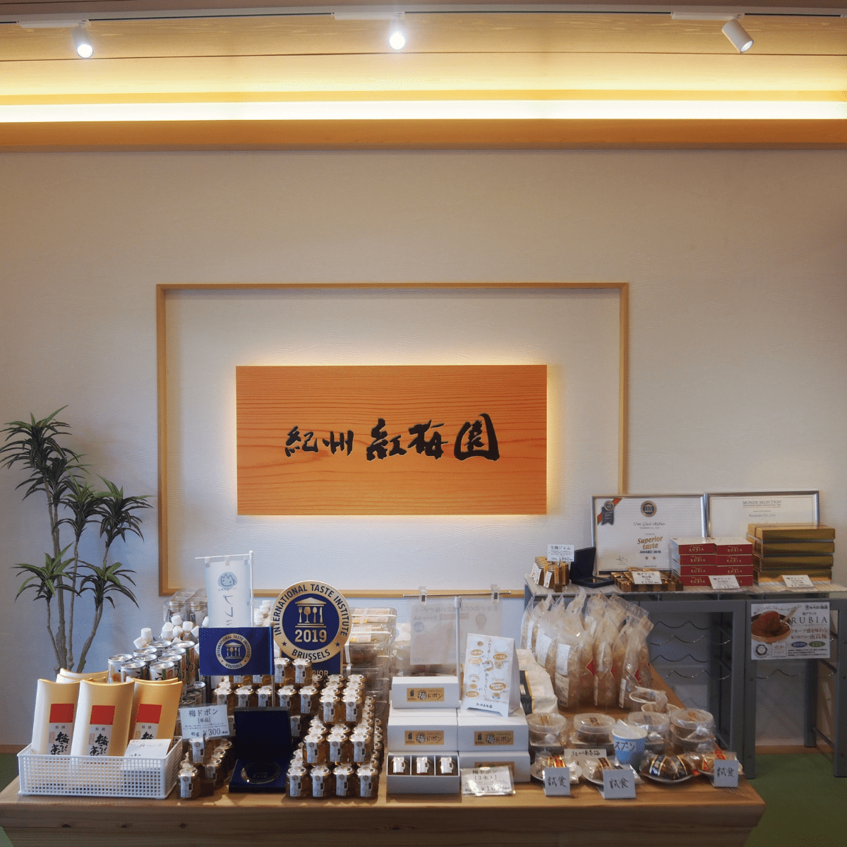 Fully Ripened Ume Plum Syrup - Tokyo Fresh Direct