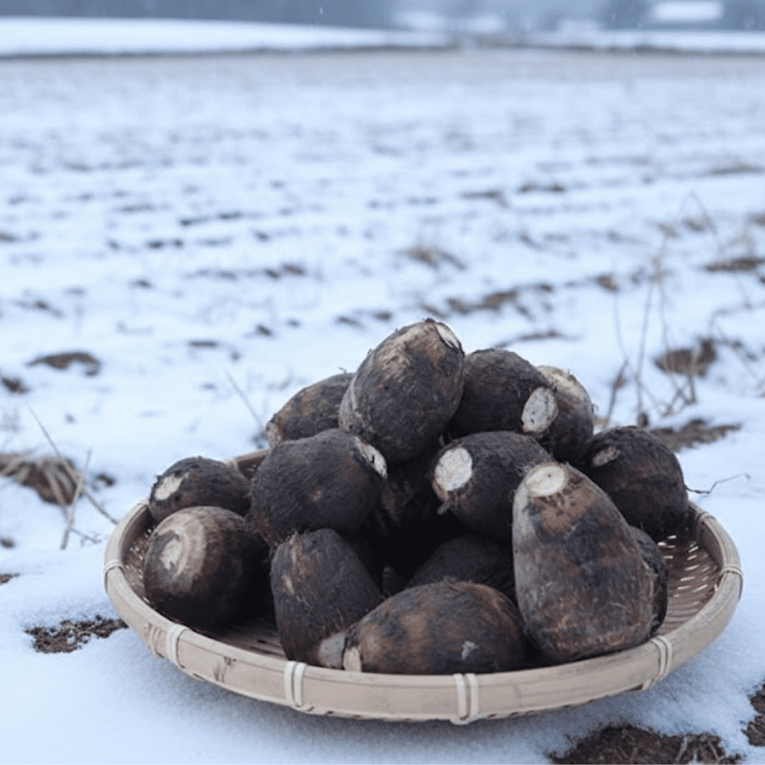 Gosen Satoimo from Niigata – Perfect for Winter Hot Pot - Tokyo Fresh Direct
