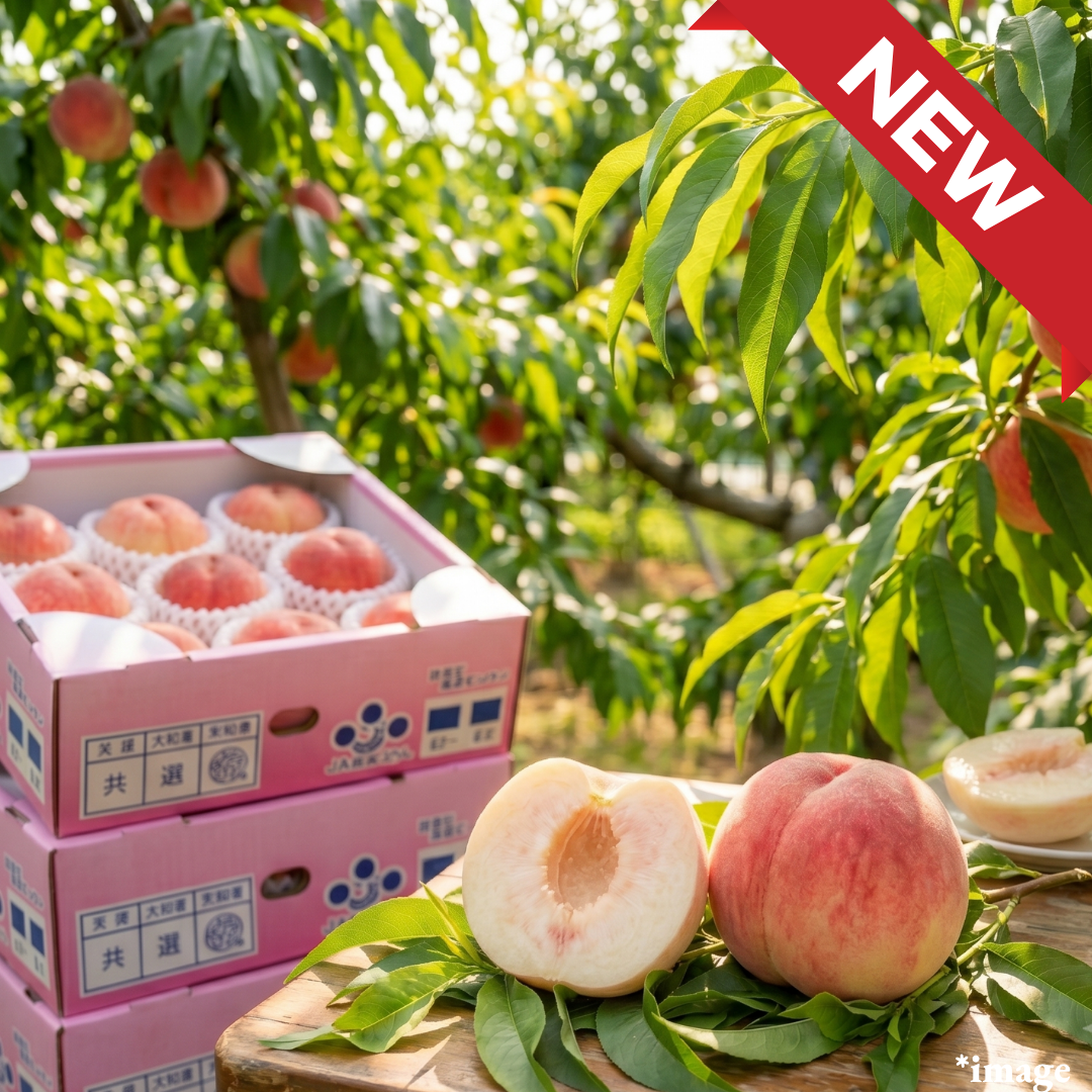 "Hikawa - Hakuho(High Grade/L - size)", The First Taste of Early Summer Peaches, | Delivery: 19th - 20th Jun - TFD (Tokyo Fresh Direct)