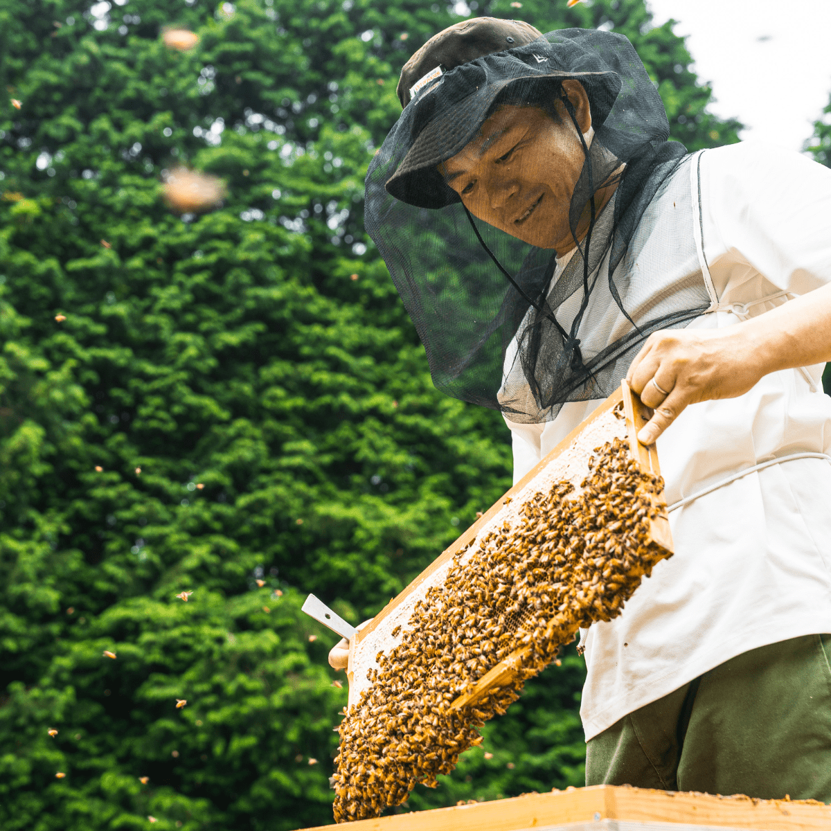 HORIYOUHOUEN Early Summer Wildflower Honey - Tokyo Fresh Direct