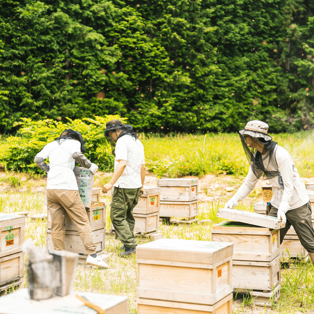 HORIYOUHOUEN Early Summer Wildflower Honey - Tokyo Fresh Direct