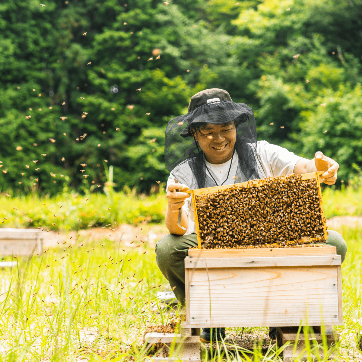 HORIYOUHOUEN Early Summer Wildflower Honey - Tokyo Fresh Direct