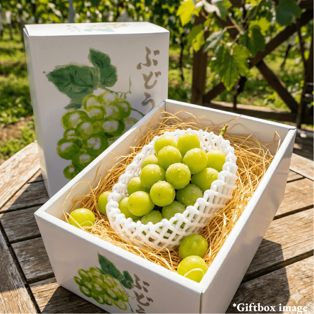 "House Shinemuscat(Giftbox/High Grade)", High - Brix Seedless Grapes from Yamanashi, Japan’s Fruit Kingdom, with Edible Skin, Approx.500g | Delivery: 29th - 30th May - TFD (Tokyo Fresh Direct)