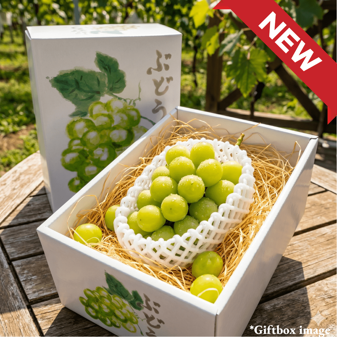 "House Shinemuscat(Giftbox/High Grade)", High - Brix Seedless Grapes from Yamanashi, Japan’s Fruit Kingdom, with Edible Skin, Approx.500g | Delivery: 29th - 30th May - TFD (Tokyo Fresh Direct)