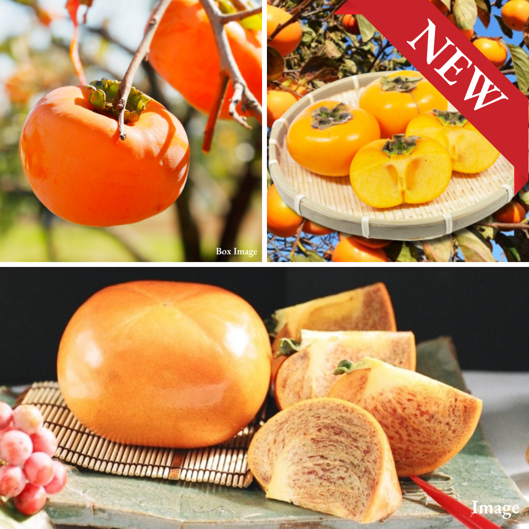 "Japan Persimmon Trio" Kuroama, Shonai & Tone Wase, Three Regional Expressions of Japan’s Seedless Persimmon Tradition (3pcs/approx.750g) | Delivery: 23th~24th Oct - TFD (Tokyo Fresh Direct)
