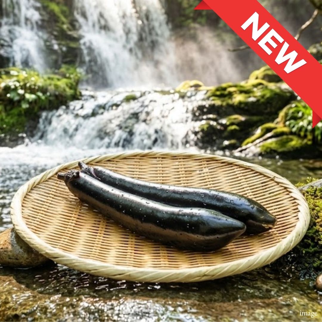 Japanese Long Eggplant (Naga Nasu) – Tender Texture & Delicate Flavor | Premium Japanese Vegetable - TFD (Tokyo Fresh Direct)