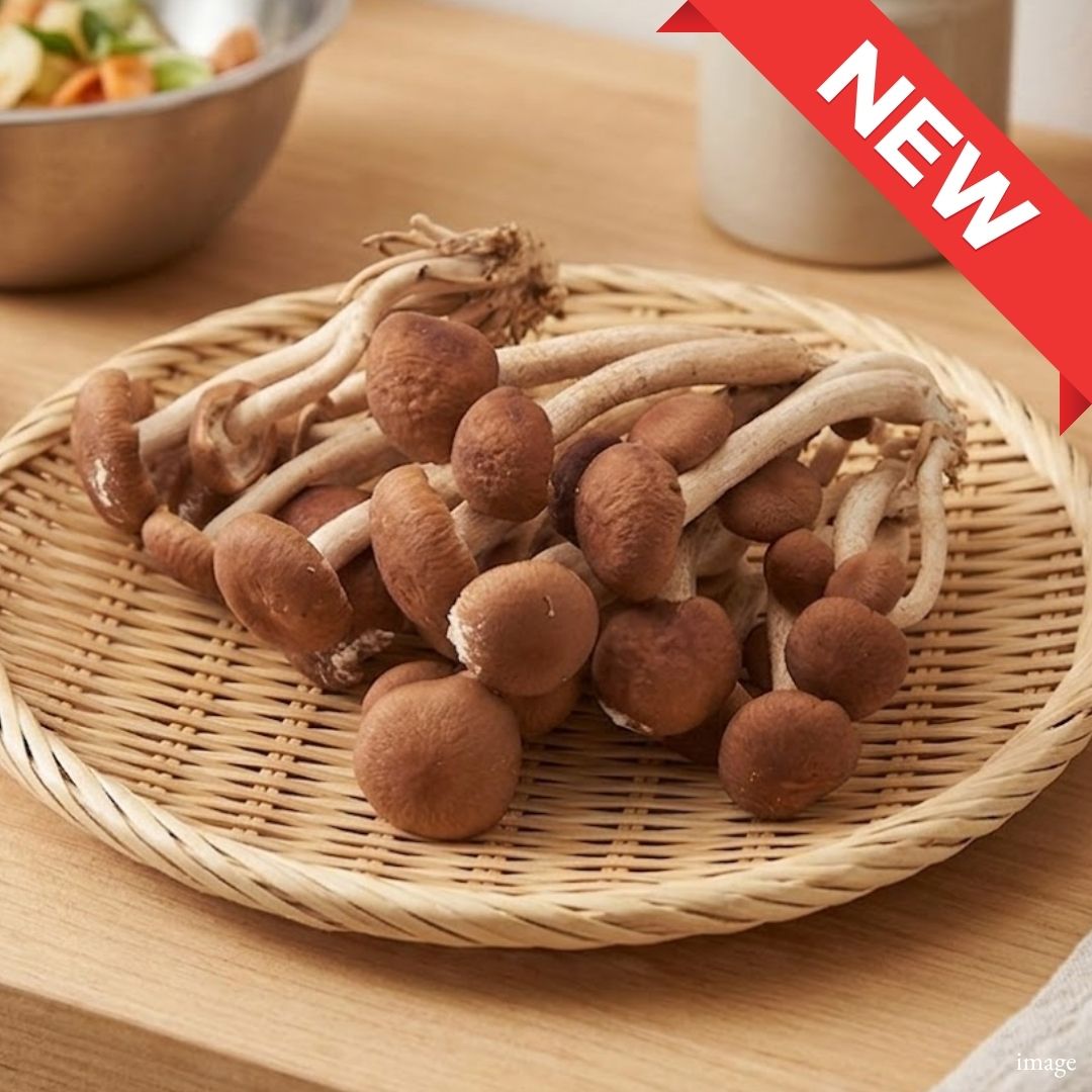 Japanese Yanagi Matsutake Mushroom – Elegant Umami & Crisp Texture | Delicate Aroma | Premium Japanese Mushroom - TFD (Tokyo Fresh Direct)