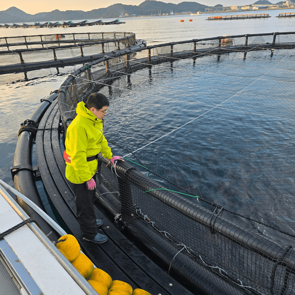 JFC Japanese Master’s Dish Sea Bream Arani Simmered in Soy Sauce - Tokyo Fresh Direct