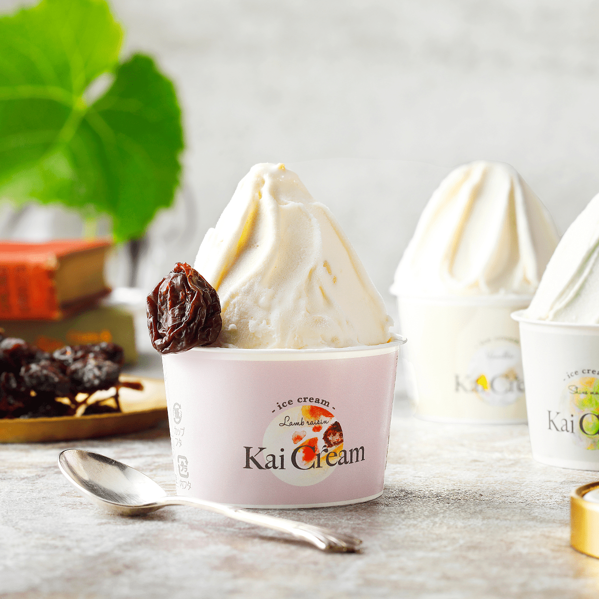 Kai Ice Cream Rum Raisin Yamanashi Vineyard - Tokyo Fresh Direct
