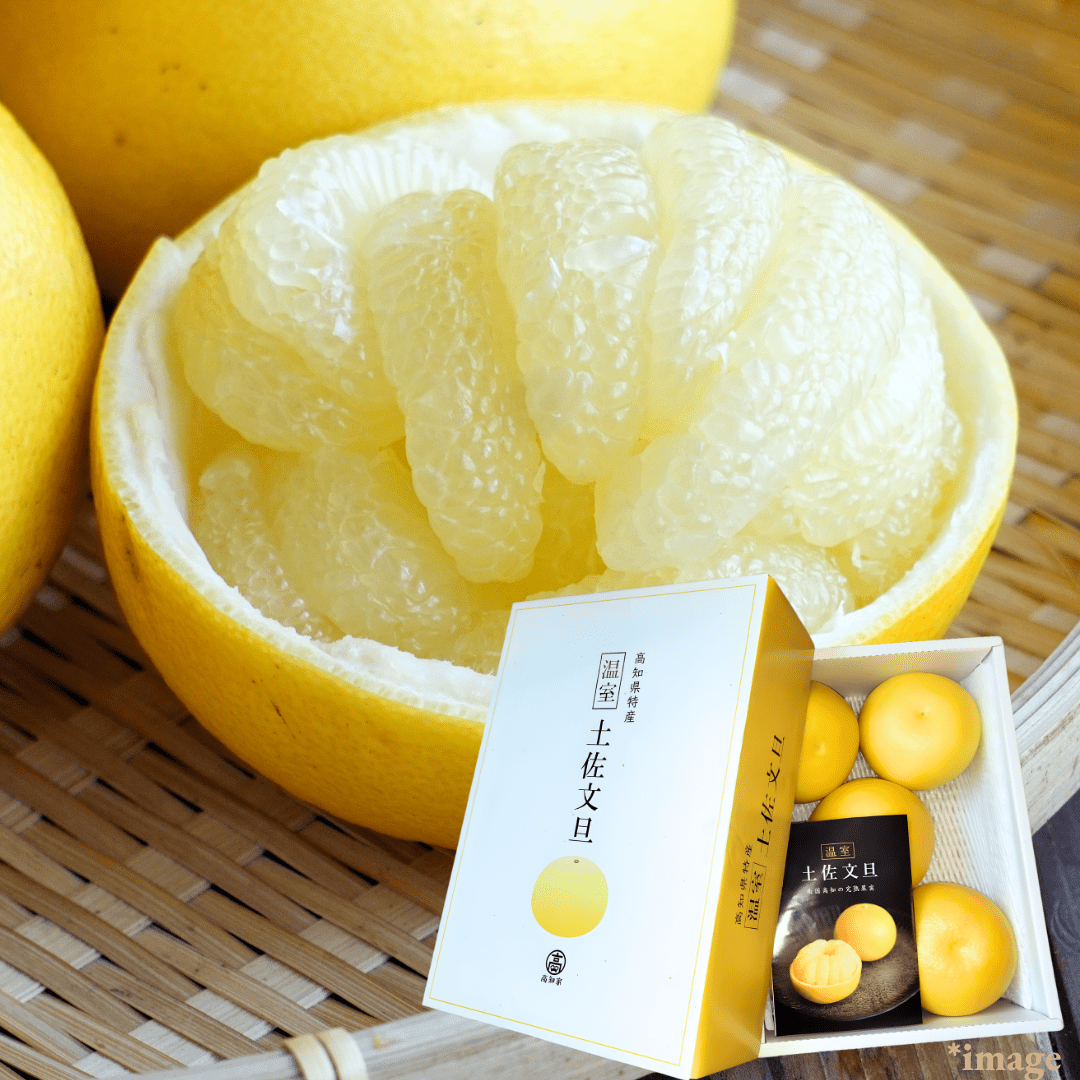 King of Large Citrus "Tosa - Pomelo (High Grade/Giftbox)", The Sun’s Blessing of Kochi, 3kg/5kg(5 - 7pcs) | Delivery: 9th - 17th Jan - Tokyo Fresh Direct