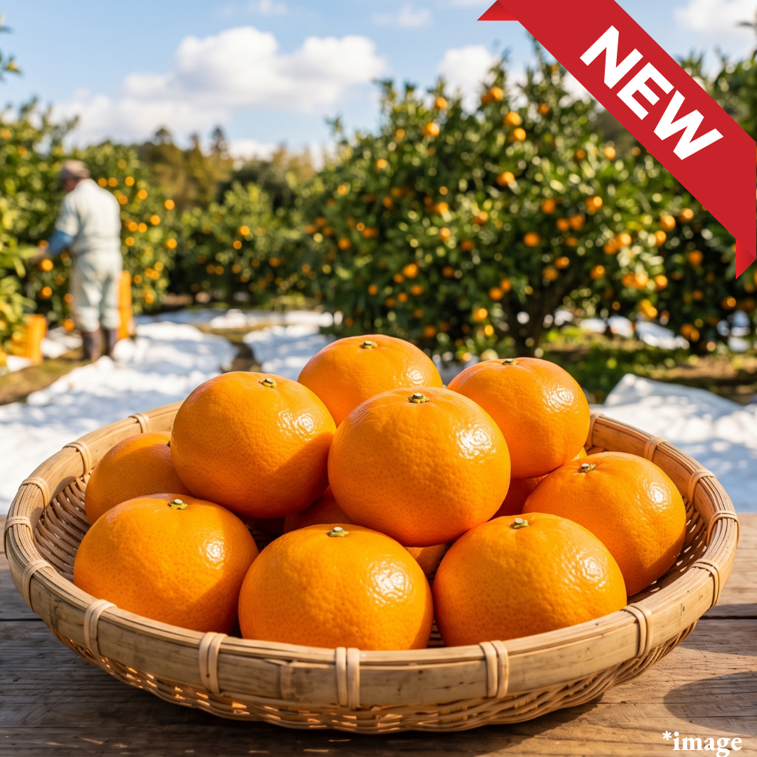 "極 (Kiwami) Greenhouse Mikan (2S-size/Top Grade)", Sun-Grown in Kumamoto, Selected for Rich Sweetness and Refreshing Acidity | Delivery: 7th~8th Aug - TFD (Tokyo Fresh Direct)