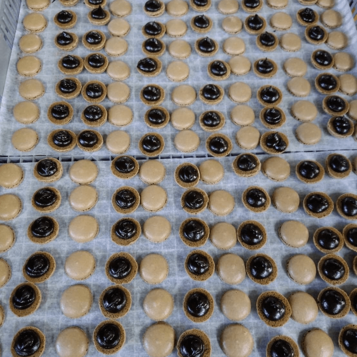 Kyoto Macaron Sweets Hojicha - Tokyo Fresh Direct