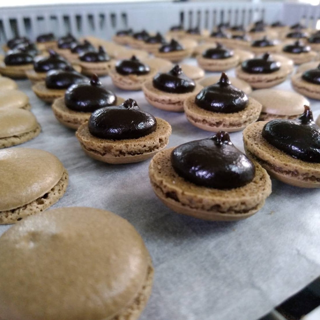 Kyoto Macaron Sweets Hojicha - Tokyo Fresh Direct