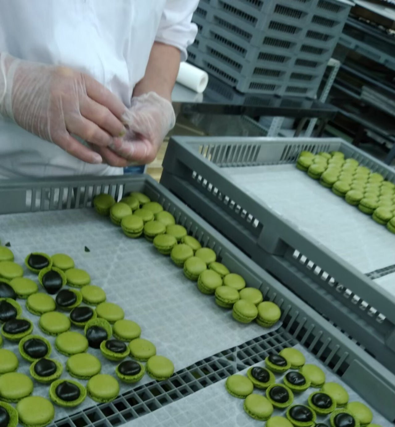 Kyoto Macaron Sweets Matcha - Tokyo Fresh Direct