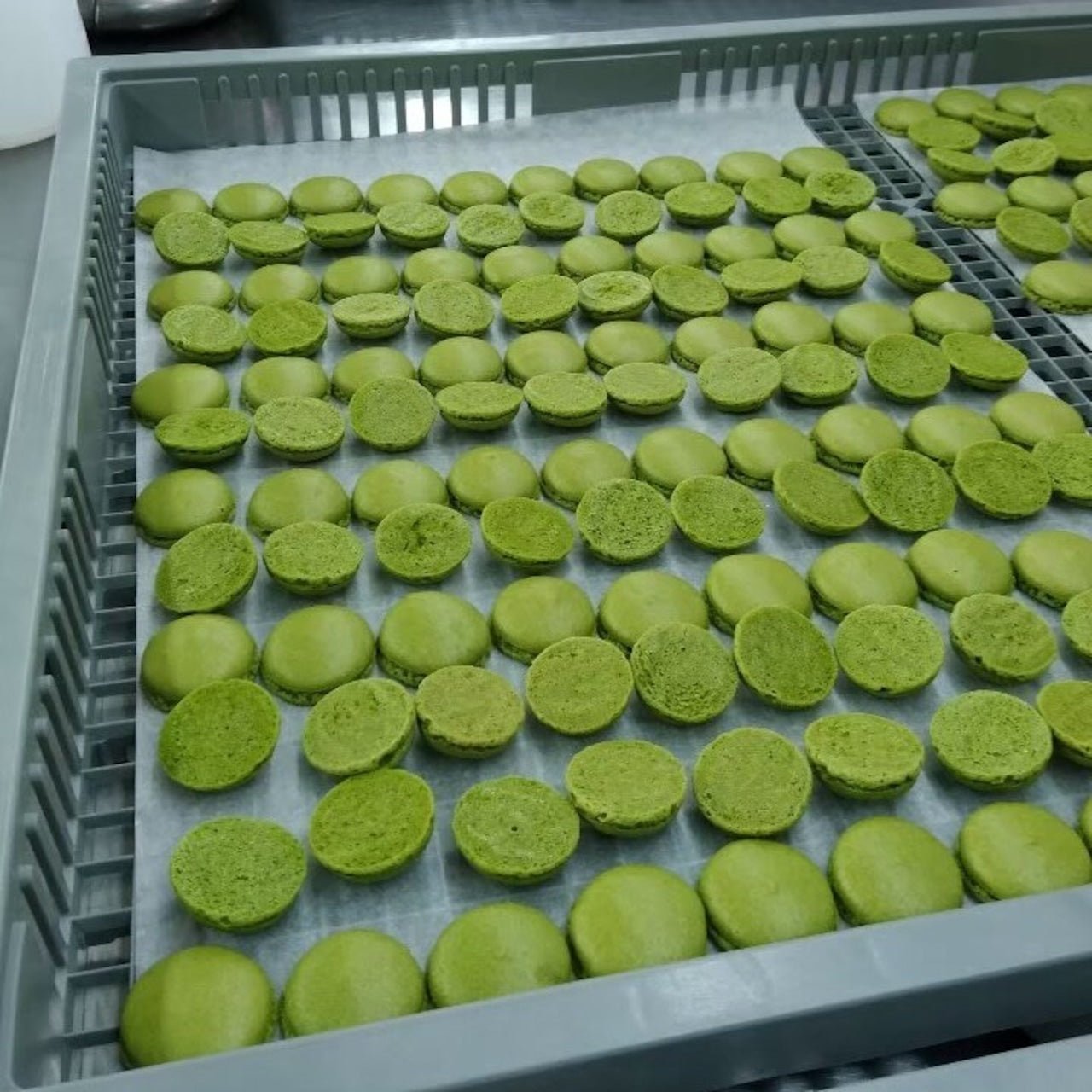 Kyoto Macaron Sweets Matcha - Tokyo Fresh Direct