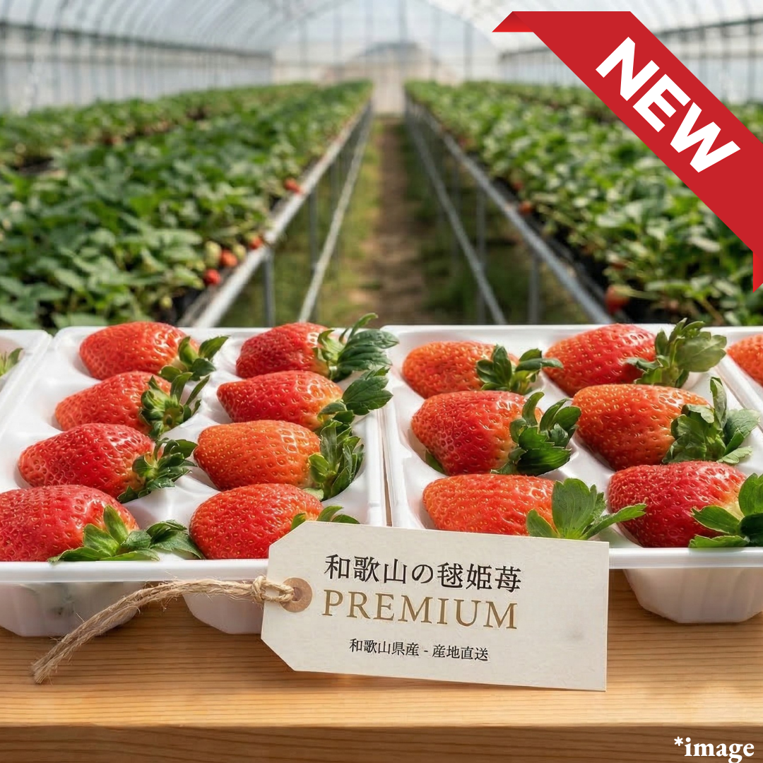 ”Marihime from Kawaguchi Farm”, Wakayama’s premium strawberry, known for its rich sweetness, large size, and vibrant red colour, Approx.500g+(2packs) | Delivery: 3rd - 4th Apr - TFD (Tokyo Fresh Direct)