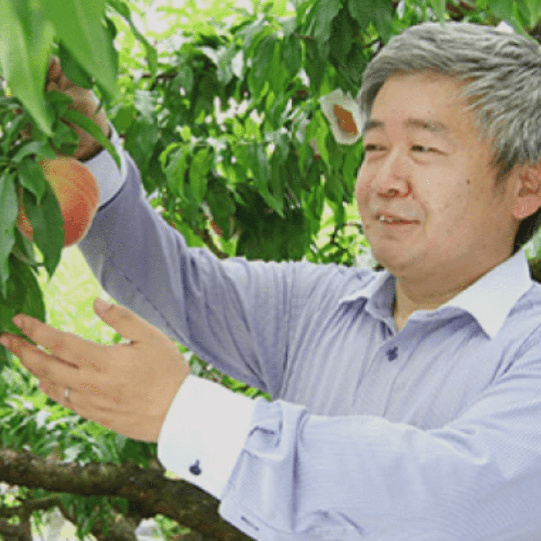 MATSUO Wakayama Lemon Drink 500ml - TFD (Tokyo Fresh Direct)