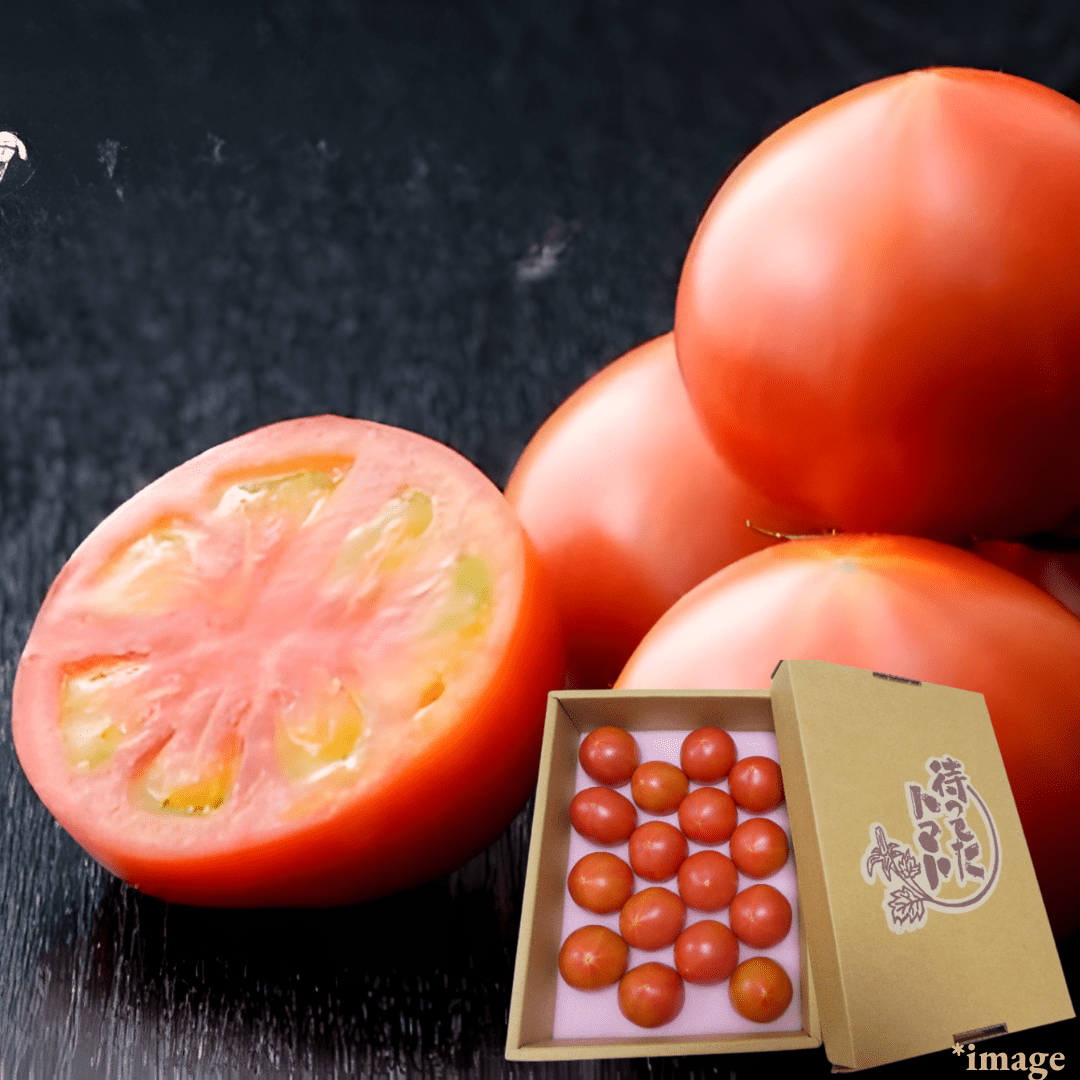 "Matteta (Fruits Tomato/Brix 8°+), Mellow and rounded—a softer acidity with a calm, full - bodied balance, Approx.1kg Box | Delivery: 6th - 7th Mar - TFD (Tokyo Fresh Direct)